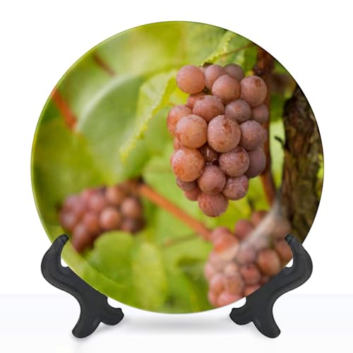 DISAOODANK Decorative Plates Ripe Grape Variety Grey Burgundy a German Vineyard Wall Decor Ceramic Ornament with Display Stand and Hook Up for Festival, Parties, Wedding 8', Collector Plate