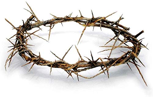 Authentic Biblical Lifesize 8' Crown of Thorns w/ Certificate