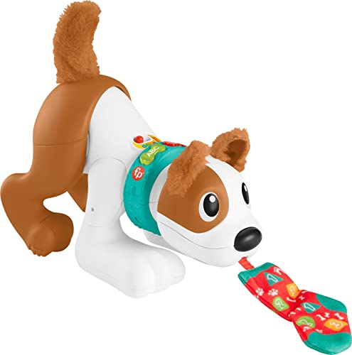 Fisher-Price Baby Learning Toy 123 Crawl with Me Puppy Electronic Dog with Smart Stages Content & Lights for Ages 6+ Months (Amazon Exclusive)