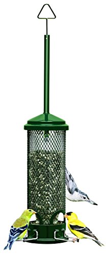 Squirrel Buster Mini Squirrel-proof Bird Feeder w/4 Metal Perches, 1.3lbs Seed Capacity, garden green