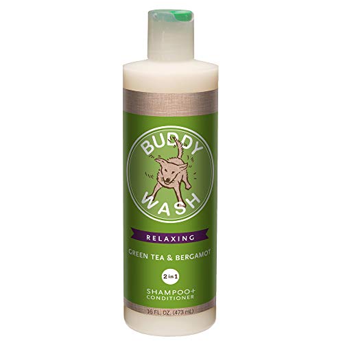 Buddy Wash 2-in-1 Dog Shampoo and Conditioner for Dog Grooming, Green Tea & Bergamot, 16 oz. Bottle