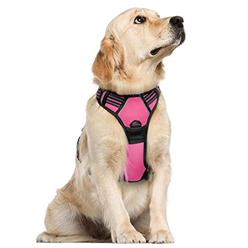 rabbitgoo Dog Harness, No-Pull Pet Harness with 2 Leash Clips, Adjustable Soft Padded Dog Vest, Reflective No-Choke Pet Oxford Vest with Easy Control Handle for Large Dogs, Hot Pink, L