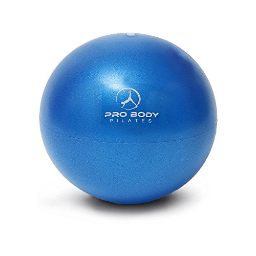 ProBody Pilates Ball Small Exercise Ball, 9 Inch Barre Ball, Mini Soft Yoga Ball, Workout Ball for Stability, Barre, Ab, Core, Physio and Physical Therapy Ball at Home Gym & Office (Blue)