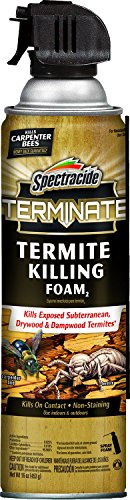 Spectracide Terminate Termite Killing Foam, Kills Exposed Subterranean, Drywood and Dampwood Termites On Contact, for Insects, 16 fl Ounce