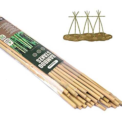 Cambaverd 25 Pcs Bamboo Garden Stakes 4 Feet Eco-Friendly Bamboo Plant Stakes, for Roma Tomatoes Sunflowers Pole Beans Trees Potted Dahlia Flowers and Climbing Plants - Pack of 25 Bamboo Sticks
