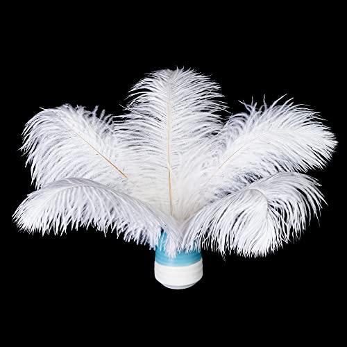 Piokio 20 pcs Natura White Ostrich Feathers Plumes 6-8 inch(15-20 cm) Bulk for DIY Christmas Decorations, Wedding Party Centerpieces, Gatsby Decorations