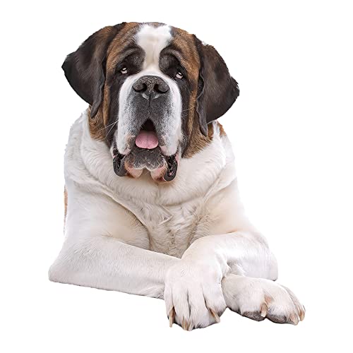 St. Bernards Door Decals, Wall Decals Stickers Pack of 2 - Realistic Car Stickers Design Size 12' x 12'