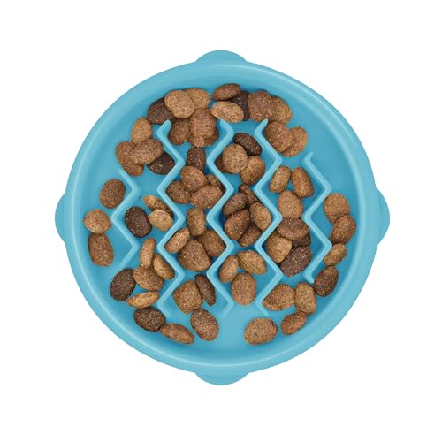 Catstages Cat Slow Feeder Cat Bowl, Blue