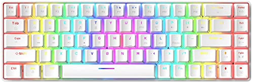 RK-T8 Pro Wired 60% Mechanical Gaming Mini NKRO Keyboard,18 Chroma RGB LED Backlit,TKL Layout,Ultra-Compact with 12 Multimedia Keys,Linear Red Switch for Xbox,PC,FPS,MOBA,RPG,LOL,PUBG Win/Mac (White)