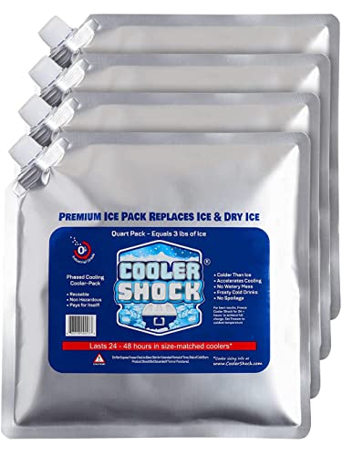 Cooler Shock Reusable Ice Pack - for Lunch Bags and Coolers, Long-Lasting Cold Freezer Packs for Lunch Boxes and Containers - Ice Packs for Cooler, School, Beach, Camping, Fishing