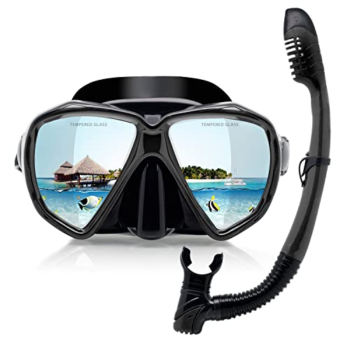 Adult Snorkel Set Panoramic Anti-Fog Diving Mask and Dry Snorkel, Tempered Glass Snorkel Mask Professional Youth Snorkeling Gear for Snorkeling, Swimming, Diving