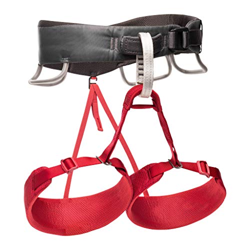 BLACK DIAMOND Equipment Momentum Harness - Women's - Wild Rose - Medium