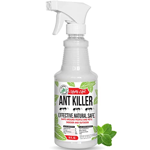 Mighty Mint - 16oz Natural Peppermint Oil Ant Killer and Repellent Spray - Safe for Indoor/Outdoor Use