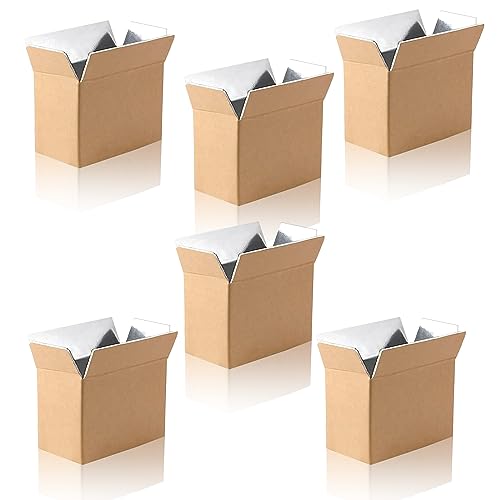 6 Pack Insulated Shipping Box for Shipping Frozen Food Cold Shipping Boxes Large Foil Cooler Carton Moving Kits for Mailing Packing (Box Size 11 x 6.1 x 7.1 Inch)