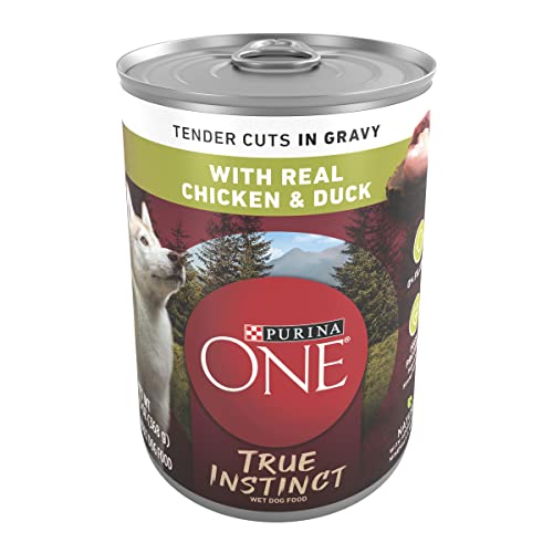 Purina ONE High Protein Wet Dog Food True Instinct Tender Cuts in Dog Food Gravy With Real Chicken and Duck - (Pack of 12) 13 oz. Cans