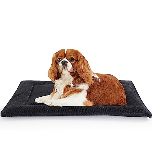 MABOZOO Indestructible Dog Bed for Aggressive Chewers,Tough Chew Proof Dog Crate Pad for Small/Medium Dog,Black Durable Dog Mat for Kennel,Machine Washable,18x29 in