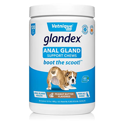 Glandex Anal Gland Soft Chew Treats with Pumpkin for Dogs Digestive Enzymes, Probiotics Fiber Supplement for Dogs Boot The Scoot (Peanut Butter Chews, 120ct)