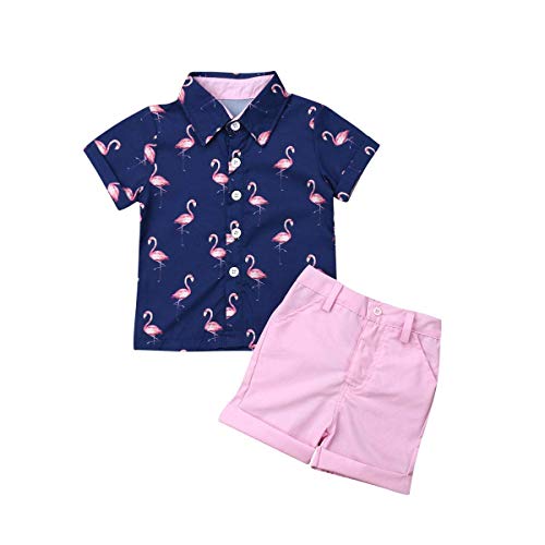 VISGOGO Toddler Baby Boy Flamingo Short Sleeve Button Down Shirt & Casual Shorts Set Summer Outfits 1-6 Years Clothes