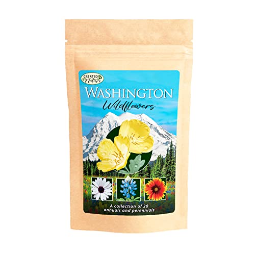 Washington Wildflower Seed Mix, Covers 325 Sq Ft, 20 Flower Varieties, Over 60,000 Seeds - Created By Nature