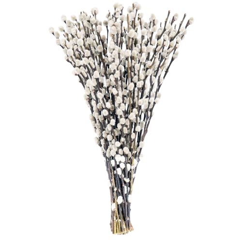 Lanmik 40 Stems 17.5 Inches 100% Real Natural Dried Pussy Willow Branches for Vase Pussy Willows Dried Flowers Pussywillow for Home Decorations, Wedding