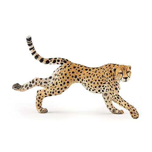 Papo -Hand-Painted - Figurine -Wild Animal Kingdom - Running Cheetah -50238 -Collectible - for Children - Suitable for Boys and Girls- from 3 Years Old
