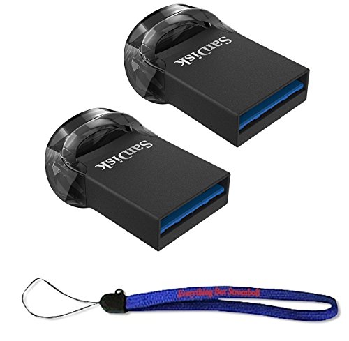 SanDisk 32GB Ultra Fit USB 3.1 Low-Profile Flash Drive (2 Pack Bundle) SDCZ430-032G-G46 Pen Drive with (1) Everything But Stromboli (TM) Lanyard