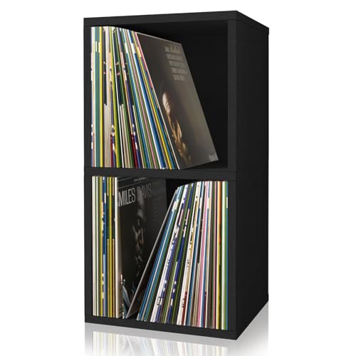 Way Basics Book Shelf 2 Tier - Vinyl Record Storage (Tool-free Assembly)