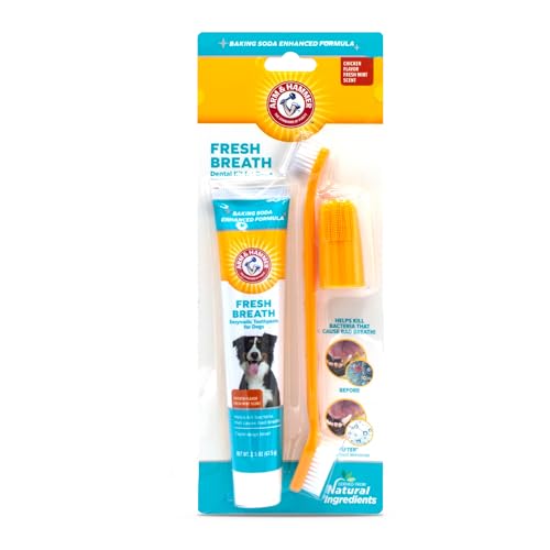 Arm & Hammer for Pets Fresh Breath Kit for Dogs | Contains Toothpaste, Toothbrush & Fingerbrush | Reduces Plaque & Tartar Buildup | Safe for Puppies, 3-Piece Kit, Chicken Flavor