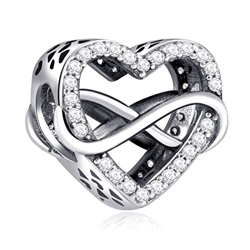 Annmors Infinity Love Heart Charm fits Bracelets for Woman-925 Sterling Silver Dangle Pendant Bead,Girl Jewelry Beads Gifts for Women Bracelet&Necklace