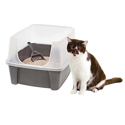IRIS USA Open Top Cat Litter Tray with Scoop and Scatter Shield, Sturdy Easy to Clean Open Air Kitty Litter Pan with Tall Spray and Scatter Shield, Gray