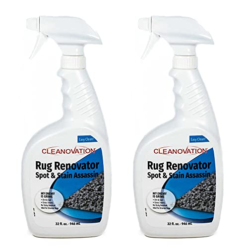 Cleanovation Rug Renovator, Carpet Scrubber and Cleaning Brush with 32 oz Foaming Carpet Shampoo (2, 2 32Fl Oz Spray)