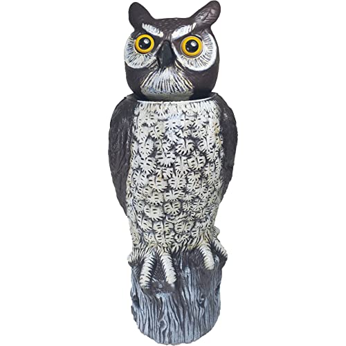 Dalen SOL-R Action Solar Fake Owl Decoy to Scare Birds Away from Gardens, Rooftops, and Patios - Safe and Humane, 18' 360º Rotating Head