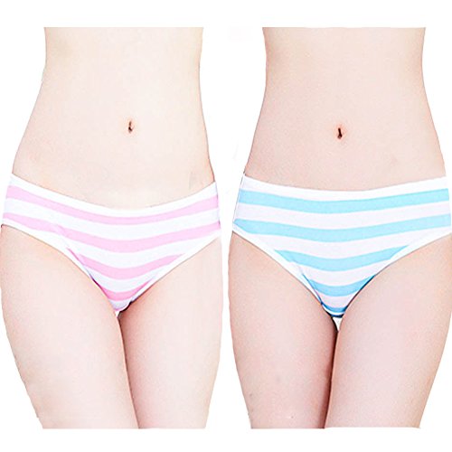 Joyralcos Japanese Striped Panties Bikini Cotton Anime Blue Pink Cosplay Underwear 2 Pack Briefs (Classic Briefs)