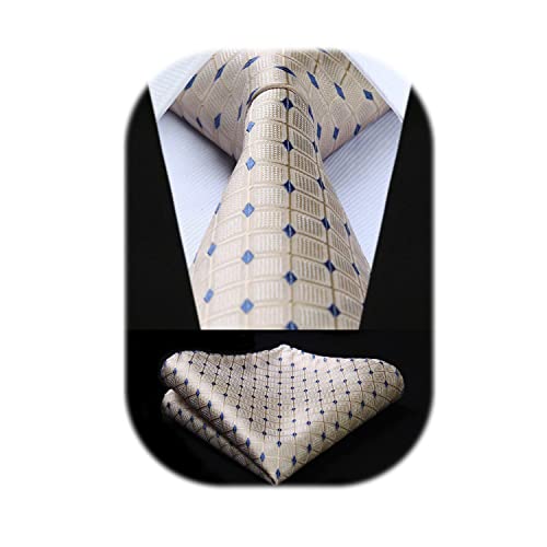 HISDERN Ties for Men Beige Checkered Tie with Pocket Square Polka Dots Business Formal Necktie Handkerchief Set Wedding Party