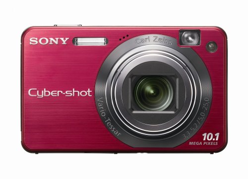 Sony Cybershot DSCW170/R 10.1MP Digital Camera with 5x Optical Zoom with Super Steady Shot (Red)