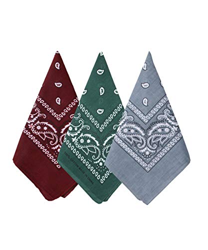 Bycc Bynn 3 Pack Pure Cotton Paisley Pattern Bandanas Square Scarf Headwear (Burgundy + Dark Green + Light Grey)