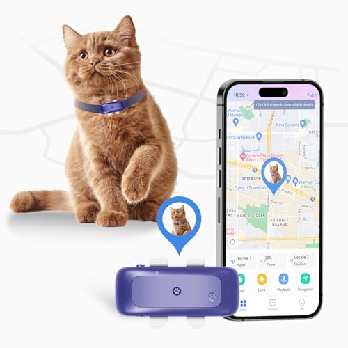 SEEWORLD P1 GPS Dog Cat (6.5 lbs+) Tracker - for Anti Lost No Distance Limited, Waterproof, 4G Real Time Tracking & Smart Activity Tracking Device, Fit All Pet Collars
