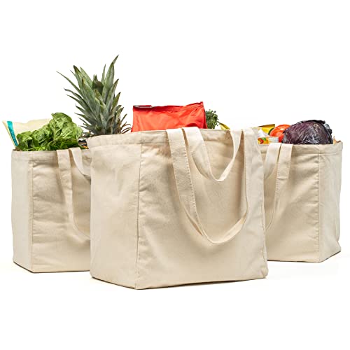 VeraMia 3pc Canvas Grocery Bags with Pockets, Shoulder Straps - Foldable, Washable Heavy Duty Tote