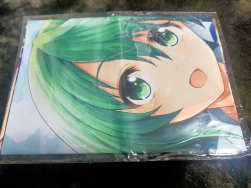 ノーブランド品 B2 Cloth Poster Sanae Dongfudani / Switch Mysterious Gensokyo - Lotus Labyrinth - Limited Edition Animate Purchase Bonus Nintendo Switch Prestige, h1117246314