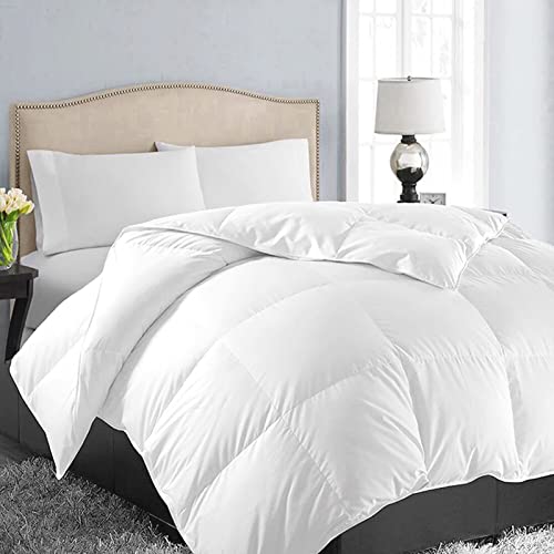 EASELAND All Season King Size Soft Quilted Down Alternative Comforter Reversible Duvet Insert with Corner Tabs,Winter Summer Warm Fluffy,White,90x102 inches
