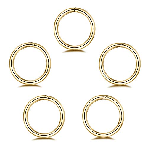 5Pcs Stainless Steel 16G Sleeper Earrings for Women Men Boys Girls Septum Hinged Clicker Nose Lip Ring Helix Daith Cartilage Tragus Piercings Hypoallergenic Sensitive Ears Jewelry (8mm in gold-16G)