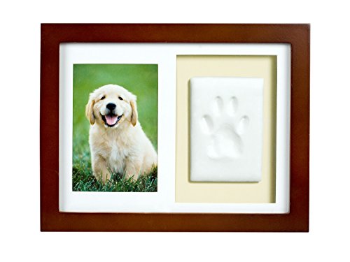 Tiny Ideas Paw Print Keepsake Wall Frame Kit, Dog or Cat Clay Pawprint Keepsake Kit, Pet Photo and Pawprint Impression Wall Art, Gift for Pet Parents