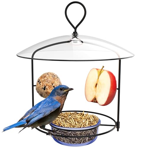 Nature's Way BBFM1 Bluebird Buffet Metal Bird Feeder with Protective Baffle, Outdoor Wild Bird Feeder and Décor, One Glass Dish with 3/4 Cup capacity, Blue