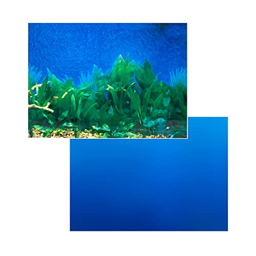 Penn-Plax Reversible Double-Sided Aquarium Background - Side 1 Blue Gradient/Side 2 Underwater Plant Life (DBC10CB)