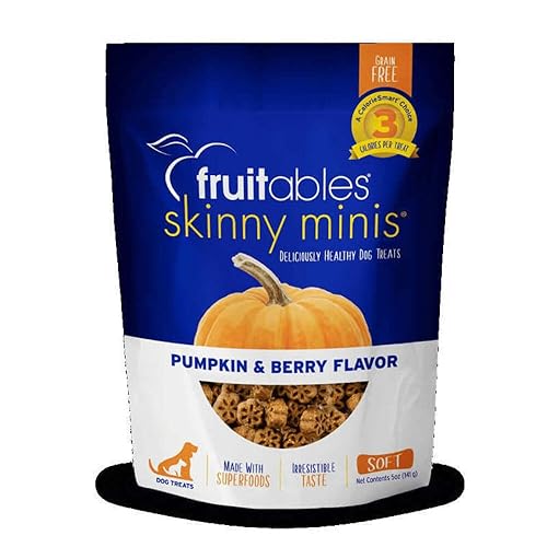 Fruitables Skinny Mini Dog Treats – Healthy Soft Dog Treats – Training Treats – Pumpkin & Berry Flavor – 5 Ounces