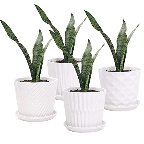 sietpoek Plant Pots - 5.5 Inch Cylinder Ceramic Planters with Connected Saucer, Pots for Succuelnt and Little Snake Plants, Set of 4, White