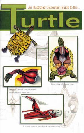 Fisher Science Education Mini Dissection Guide to the Turtle