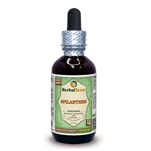 Herbal Terra LLC Spilanthes (Acmella oleracea) Glycerite, Organic Dried Leaves, Flowers and Stems Alcohol-Free Liquid Extract 2 oz
