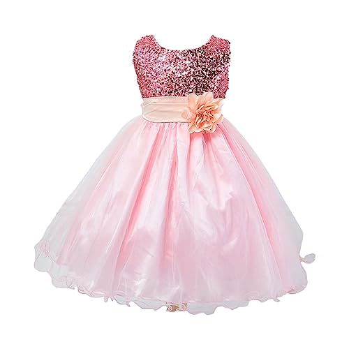 Size 8 10 Age Stylish Flower Dress Kids Toddler Baby Girls Spring Summer Print Sleeveless Dress (B-Pink, 6-7 Years)