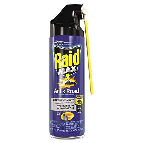 Raid Max Ant and Roach Killer Spray, Kills on Contact, Keeps Killing for up to 6 Months, 14.5 oz